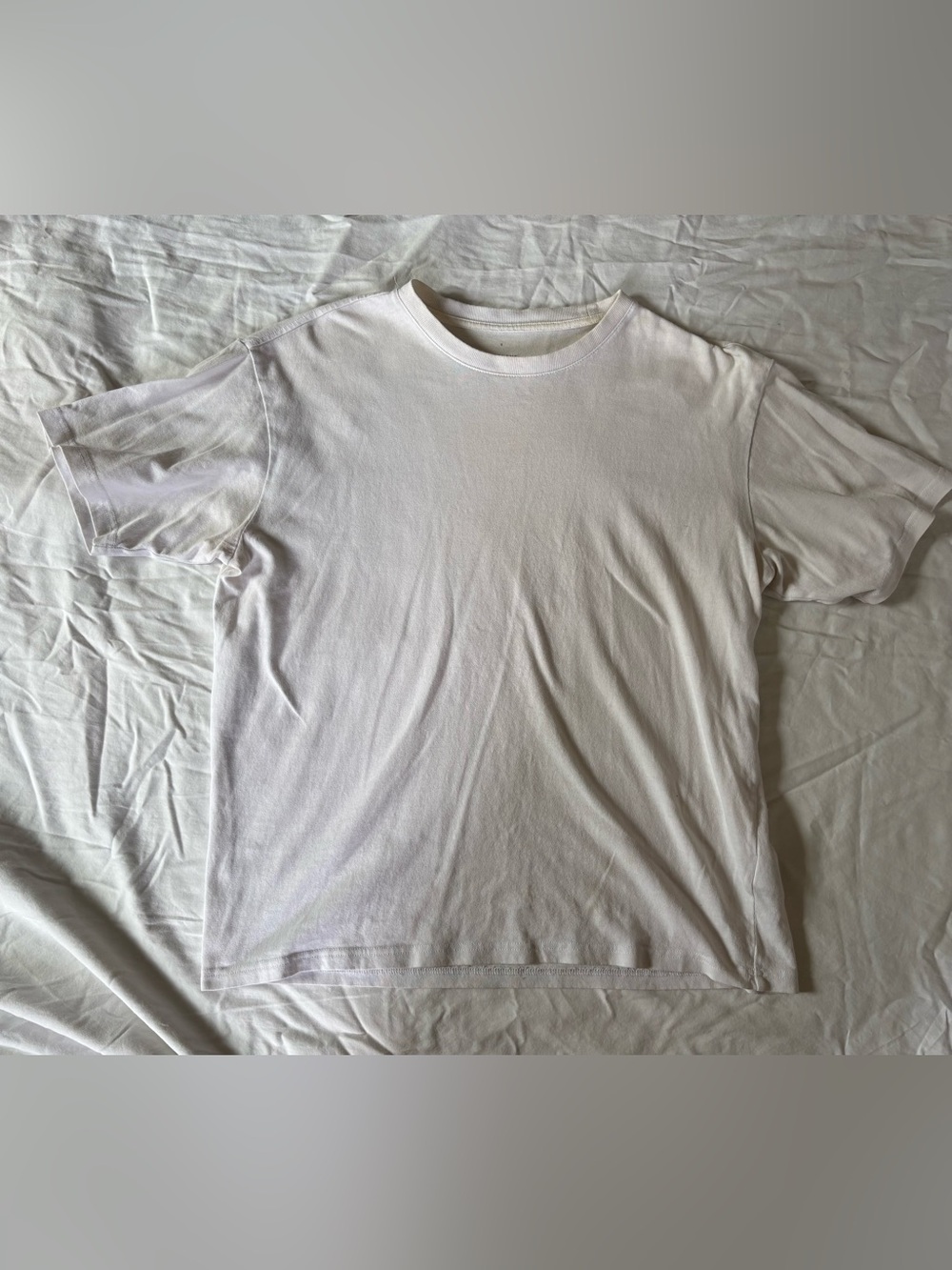 100% Organic Cotton Everlane T-Shirt